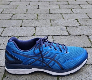 Asics løbesko / Vidde 2E