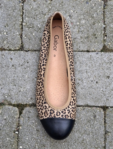 Gabor ballerina